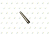 PIN