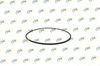 O RING 160