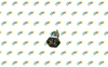 PIN