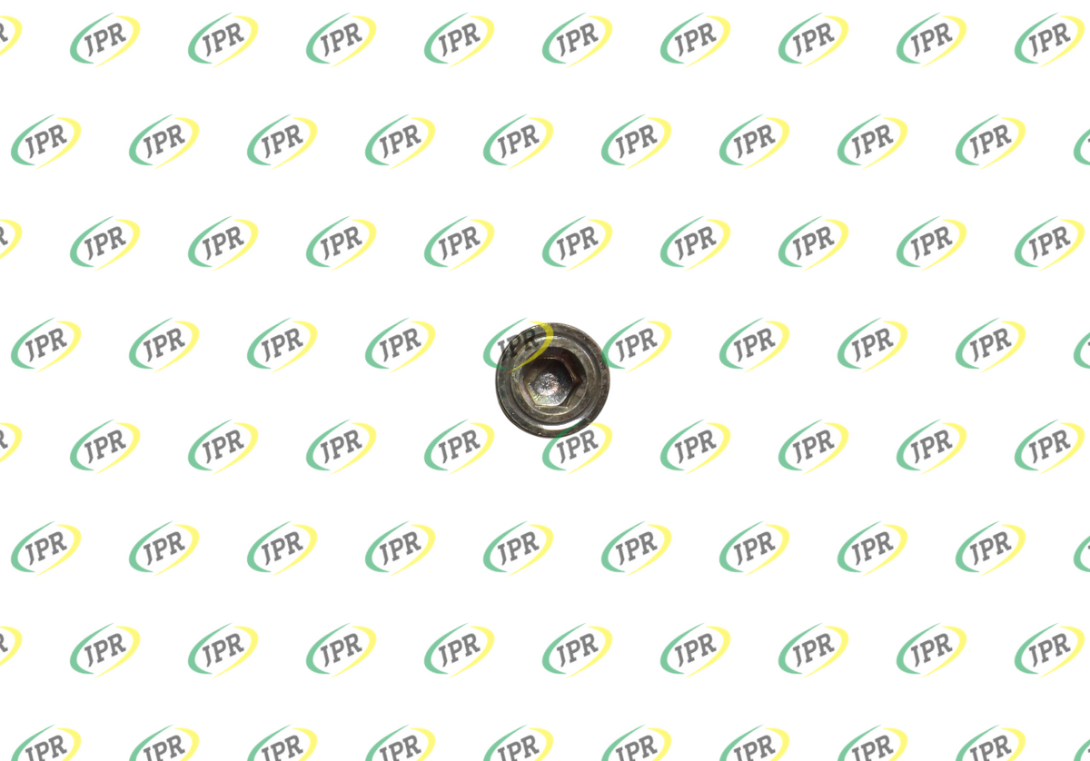 MAGNETIC PLUG
