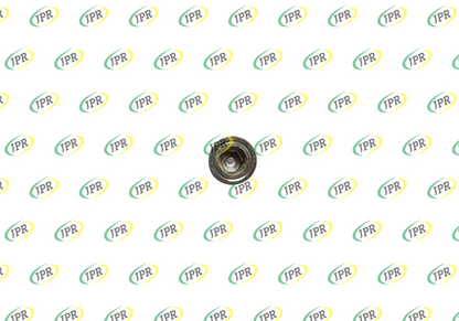 MAGNETIC PLUG