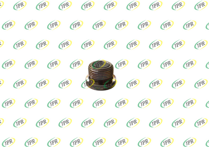 MAGNETIC PLUG