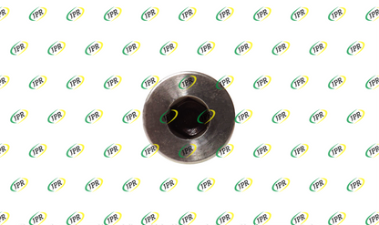 SCREW PLUG