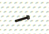 PERNO 14 x 55 MM