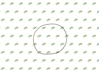 O RING