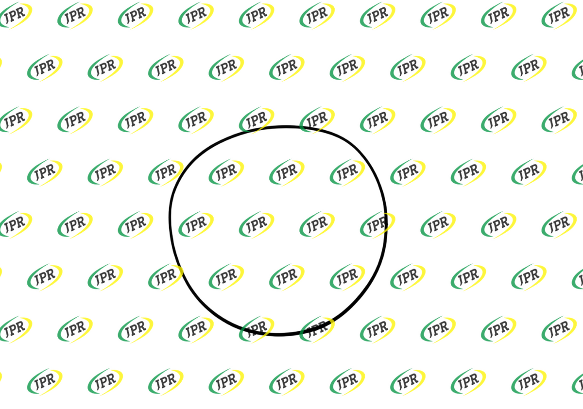 O RING 273