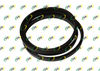RING, SEAL