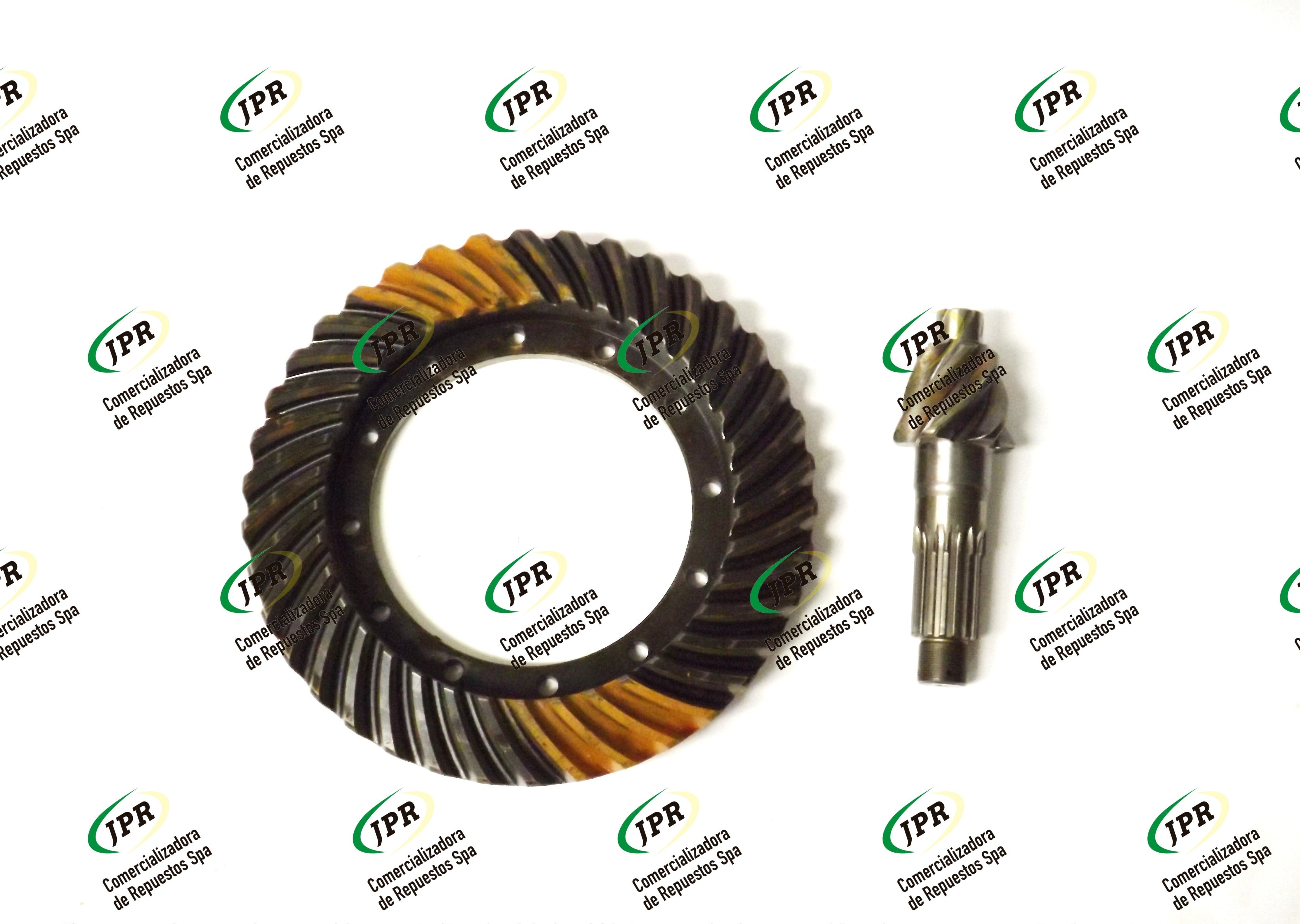 CORONA Y PINON MICHIGAN 55C. 6*38, 12 ORIFICIOS
