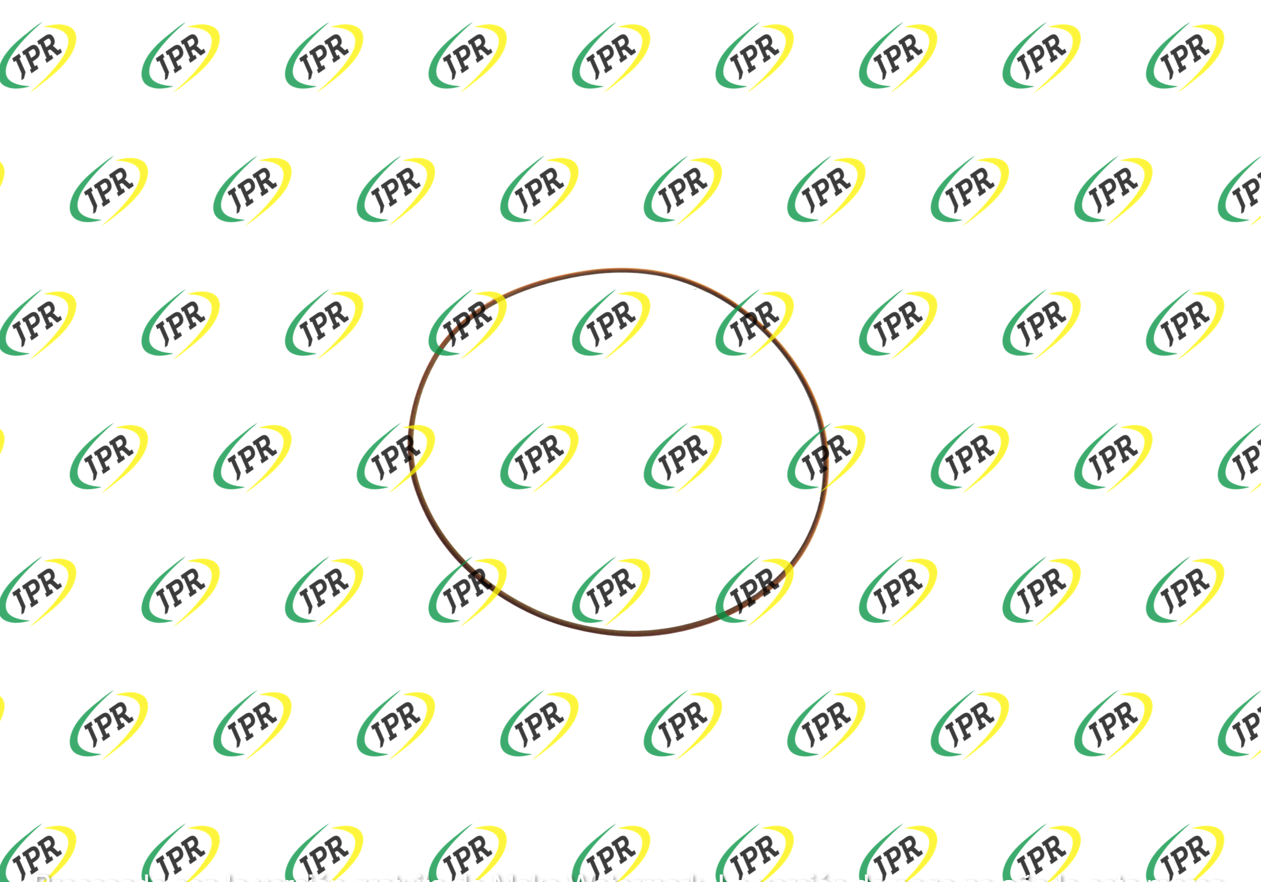 O RING 266