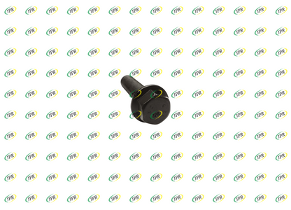 FLANGED SCREW
