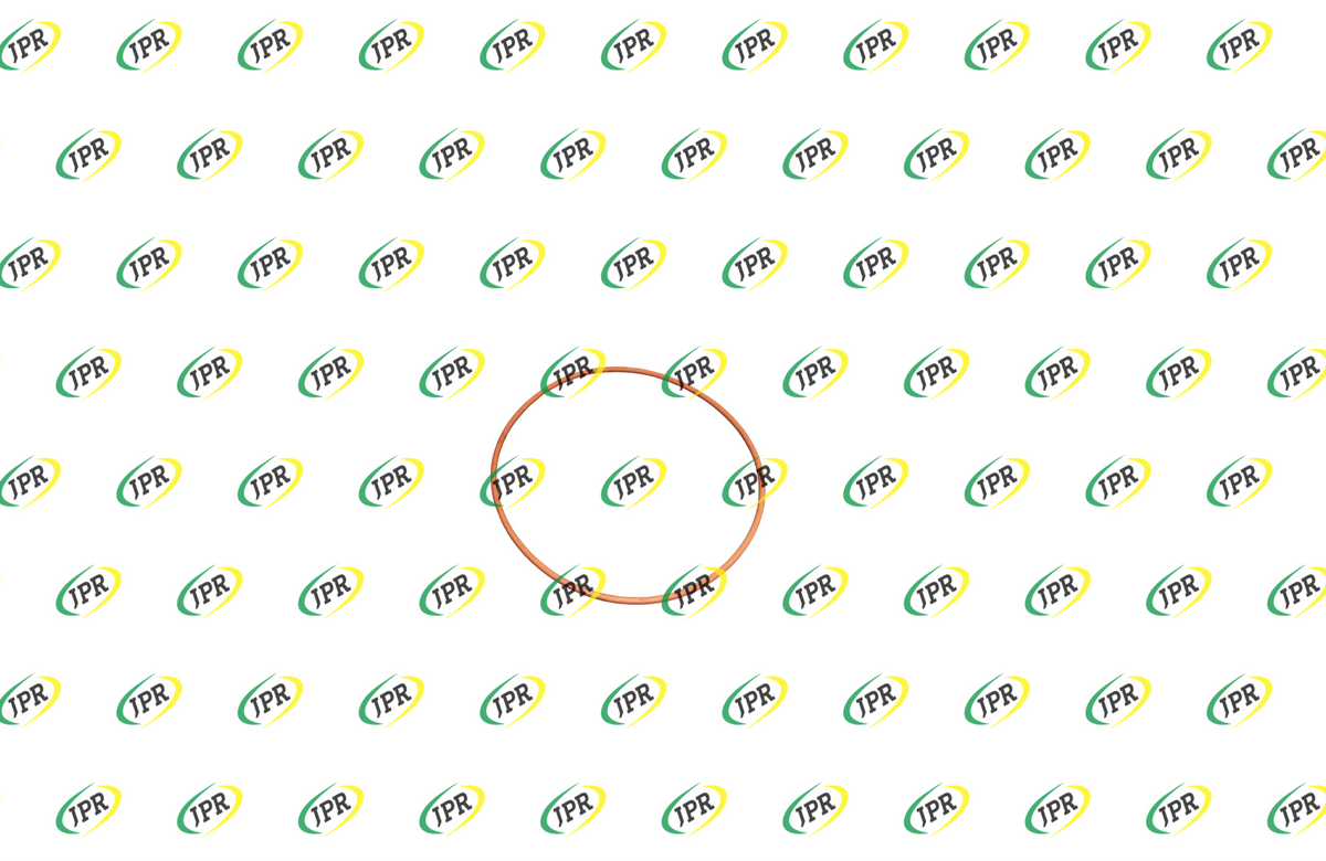 O RING 256 VITON